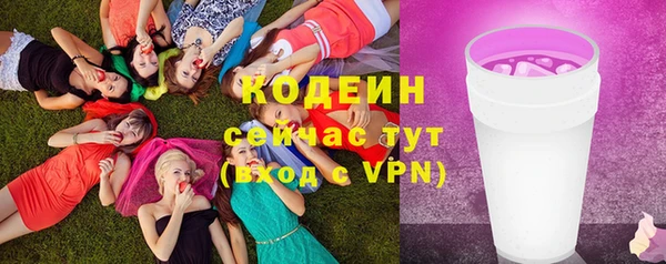 индика Семилуки